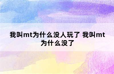 我叫mt为什么没人玩了 我叫mt为什么没了